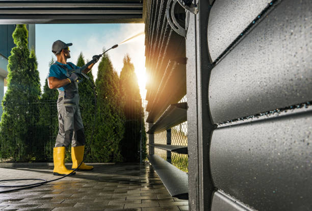 Best Boat and Dock Cleaning  in Purvis, MS